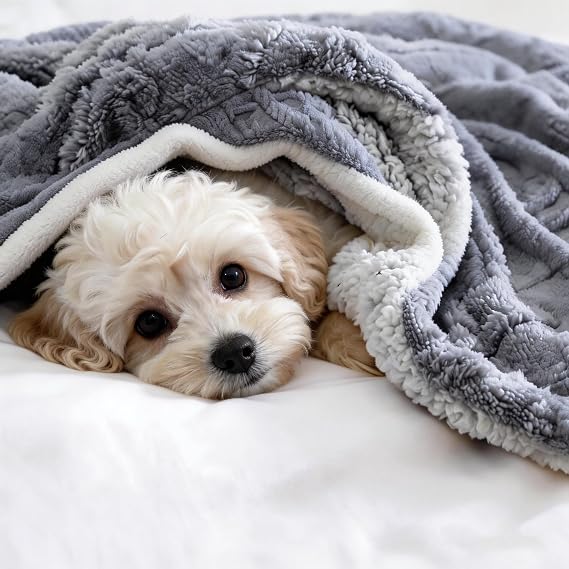 Full Size Reversible Sherpa Blanket | Soft Dark Gray
